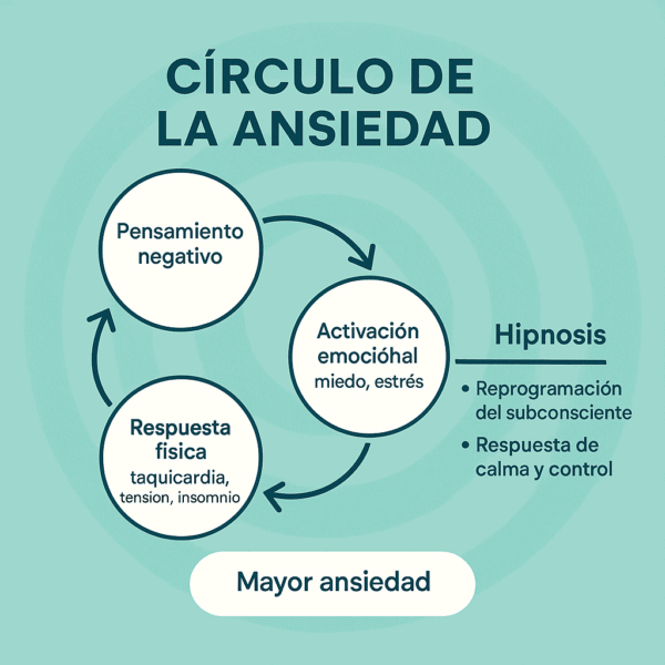 La infografía le muestra de forma visual el ciclo explicado